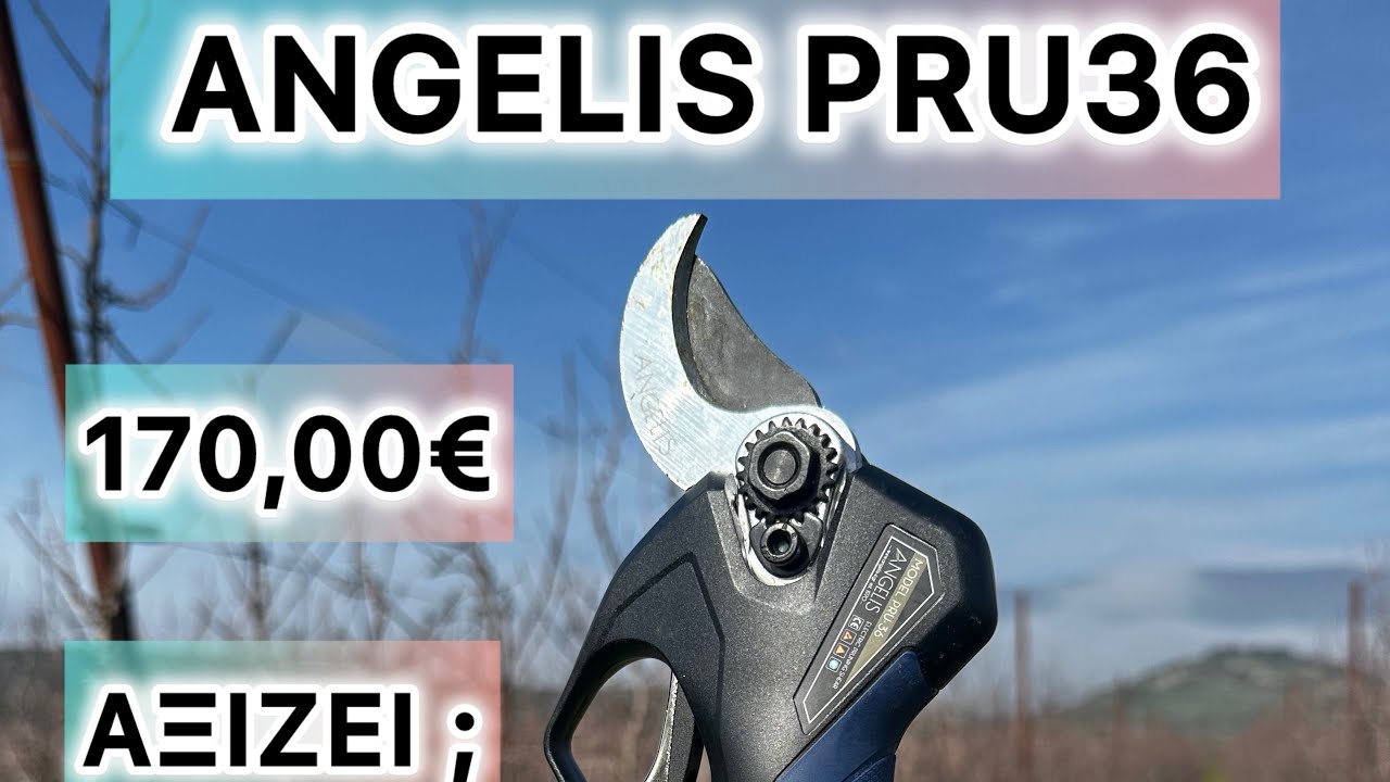 ΨΑΛΙΔΙ ΜΠΑΤΑΡΙΑΣ ANGELIS PRU36