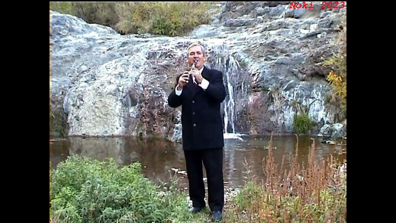 Aleksandar Pandurević - Zaječarsko kolo