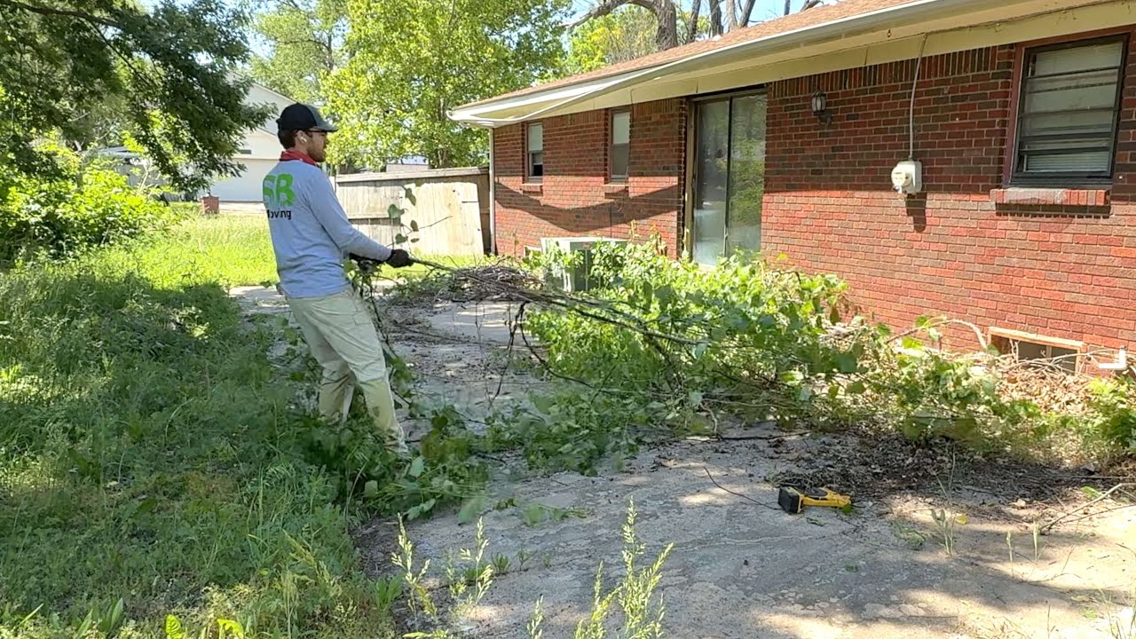The Trees were BREAKING THROUGH THE WINDOWS