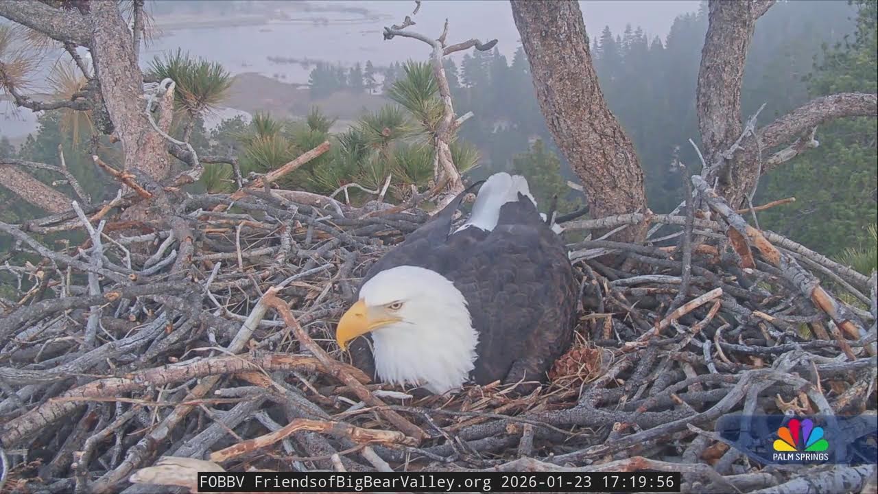 NBC Palm Springs 5 p.m.