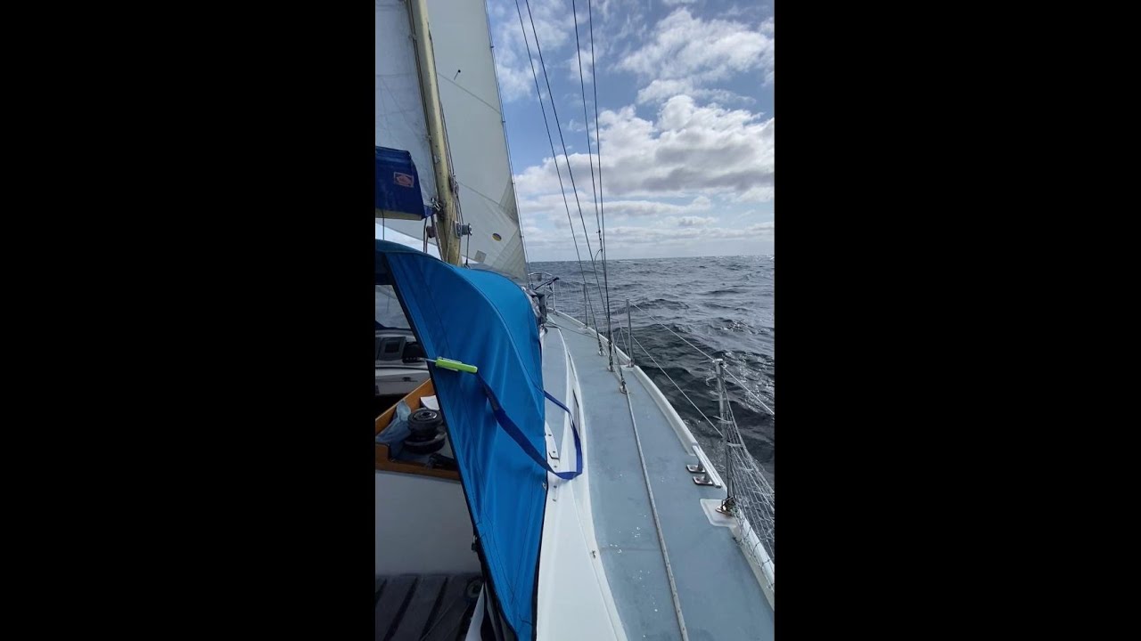 Dartmouth to Totnes and a breezy sail across the Channel dodging the ships and Dolphins