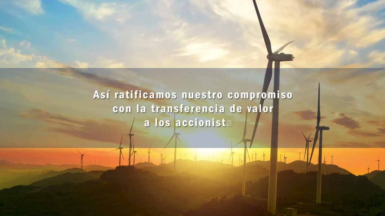 Plan de recompra de acciones del Grupo Empresarial
