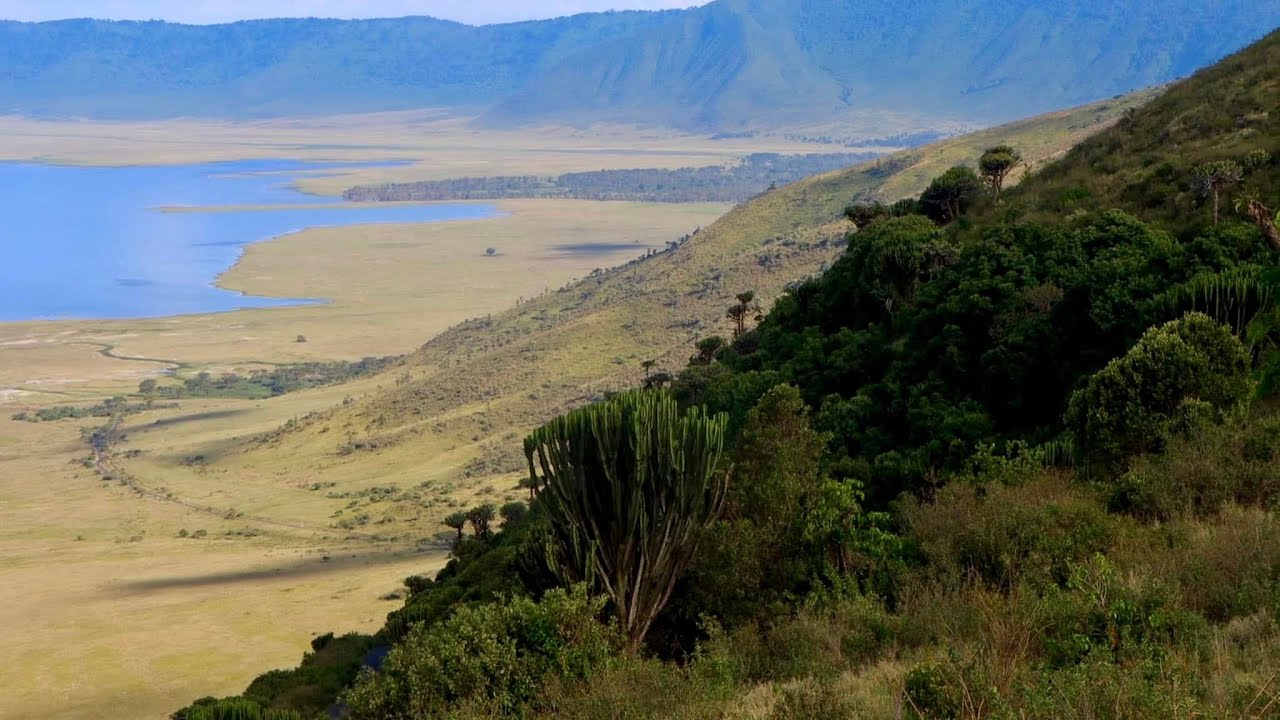 The Drive Down Into The Ngorongoro Crater, Tanzania