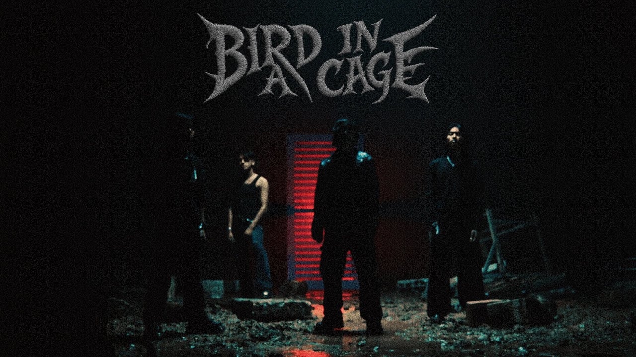 Double Tape - Bird In A Cage (Official Music Video)