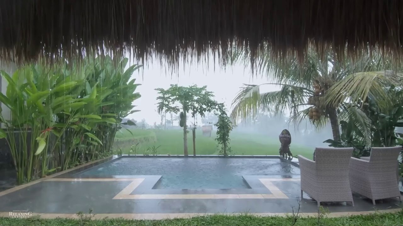 Heavy Rain Pour & Thunder Rumble in Backyard Pool | Perfect for Sleep, Relaxation, Insomnia, PTSD