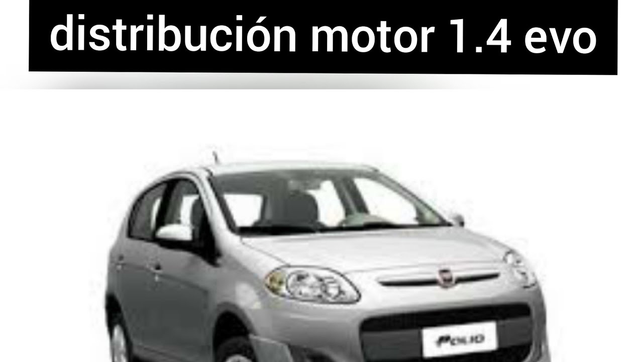 CAMBIAR CORREA DE DISTRIBUCION FIAT PALIO 1.4 MOTOR EVO