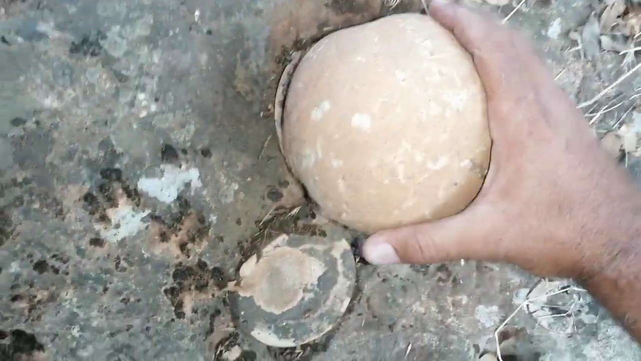 مواقع تكنيزيه ومهمه جدا جدا ورانات كثيره شاهد للنهايه وشوف شو صار