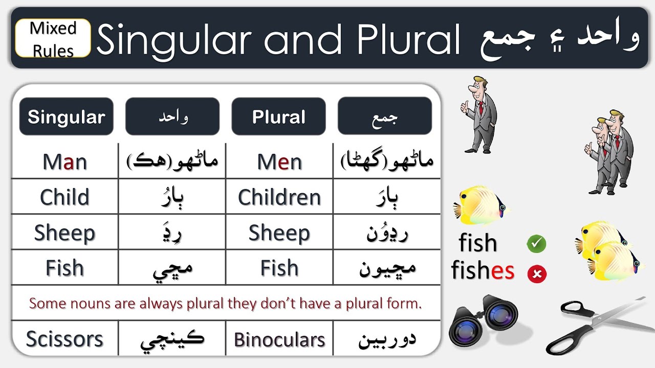 Singular and Plural Nouns -most important rules | Basic English Grammar | English in Sindhi