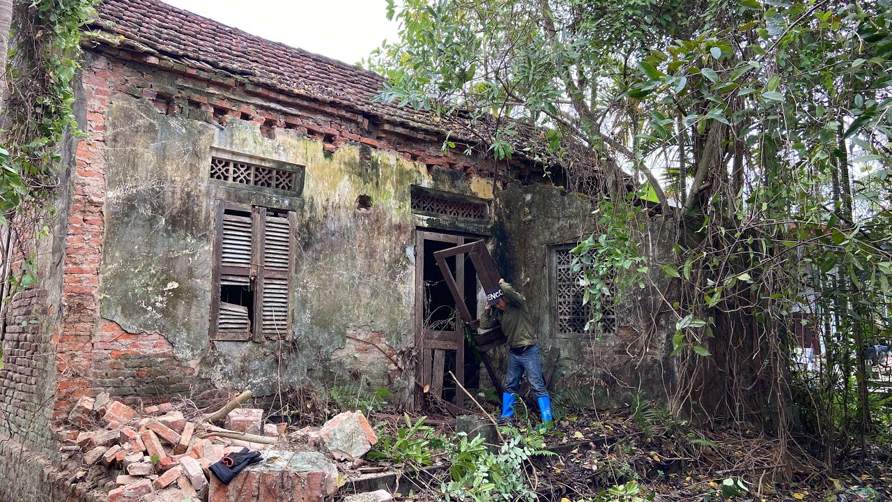 Over time, the forest covered the entire abandoned house | Cut down trees to clean up the house