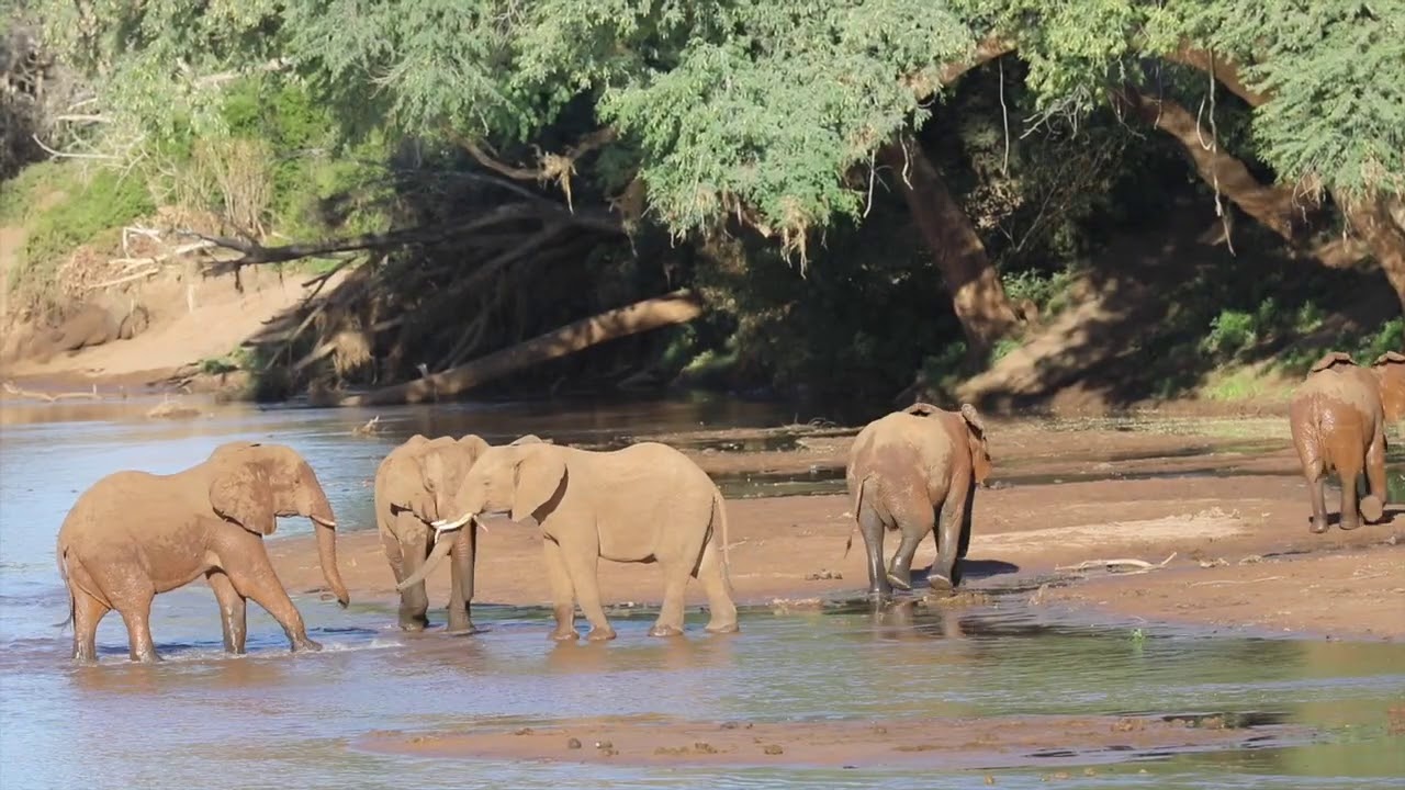 Walk Pafuri - The Rivers of Pafuri