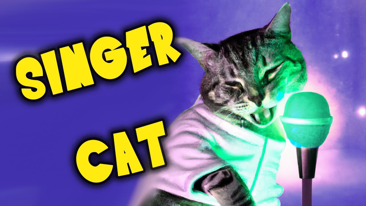 The little cat sings - Reggaeton Pet Remix / Gatinho cantando