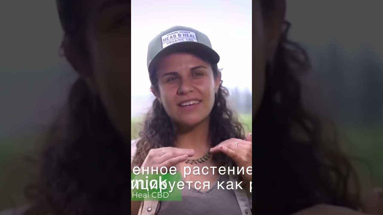 Разница между марихуаной и хэмпом #каннабидиол #hemp #cbd #cbdforlife #здоровье