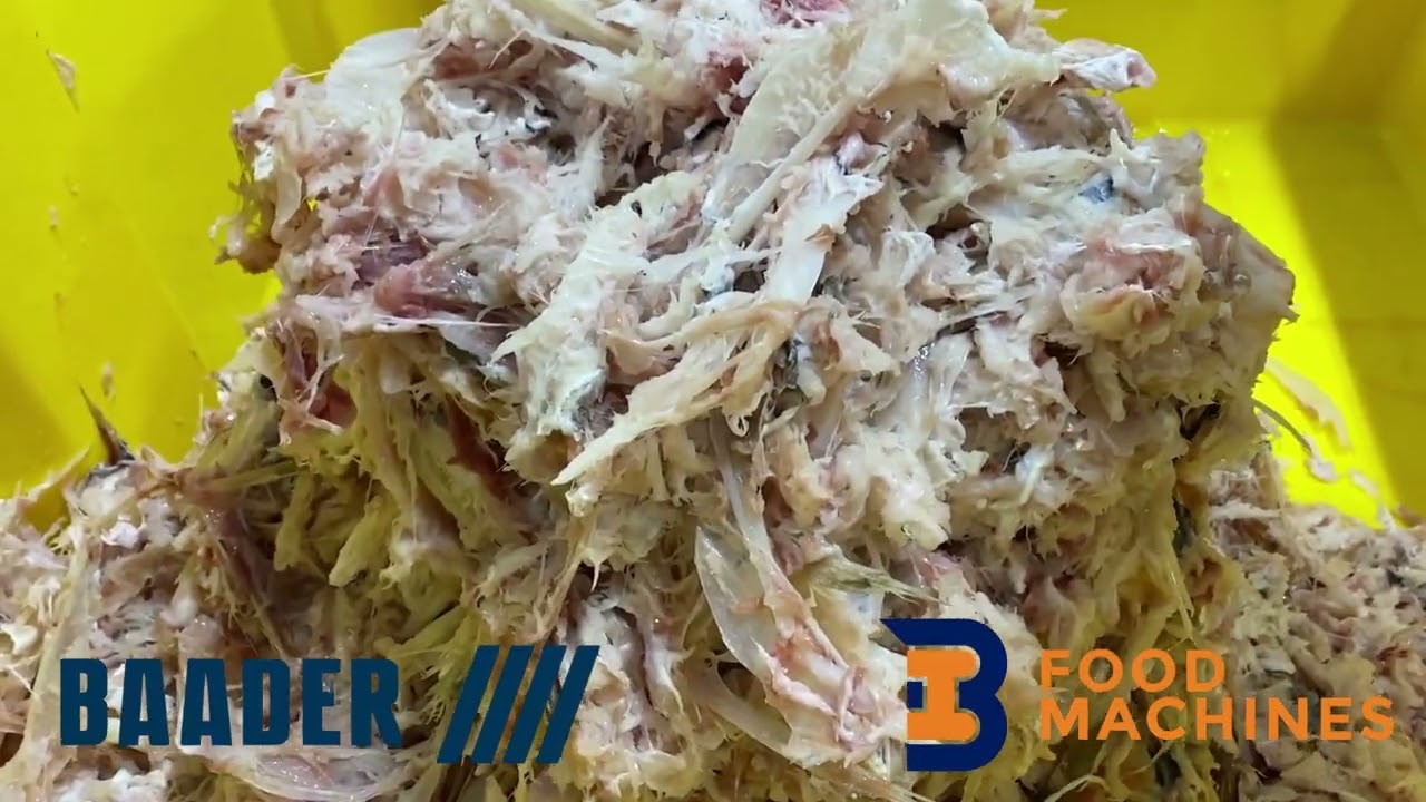 Baader 608 Refiner | IB Food-Machines