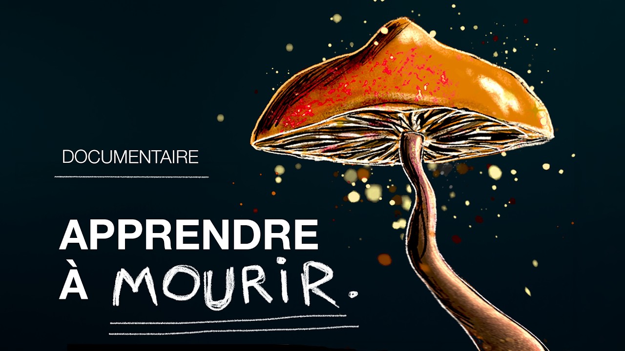 Le voyage qui m'a sauv&eacute; la vie.