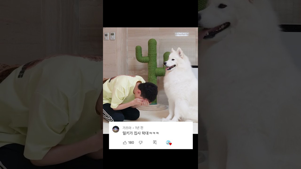 주인을 실수로 때린 대형견이 보인 행동