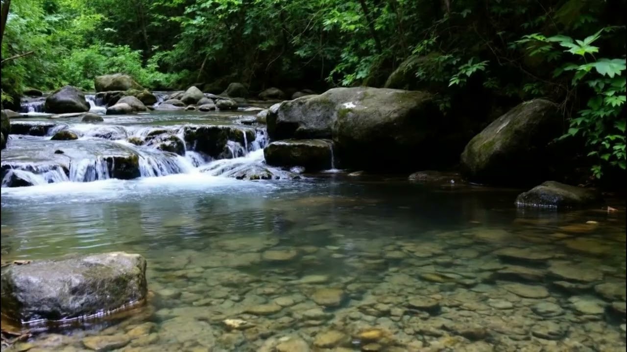Quiet Forest Creek Sounds for Sleep, Meditation, and Stress Relief