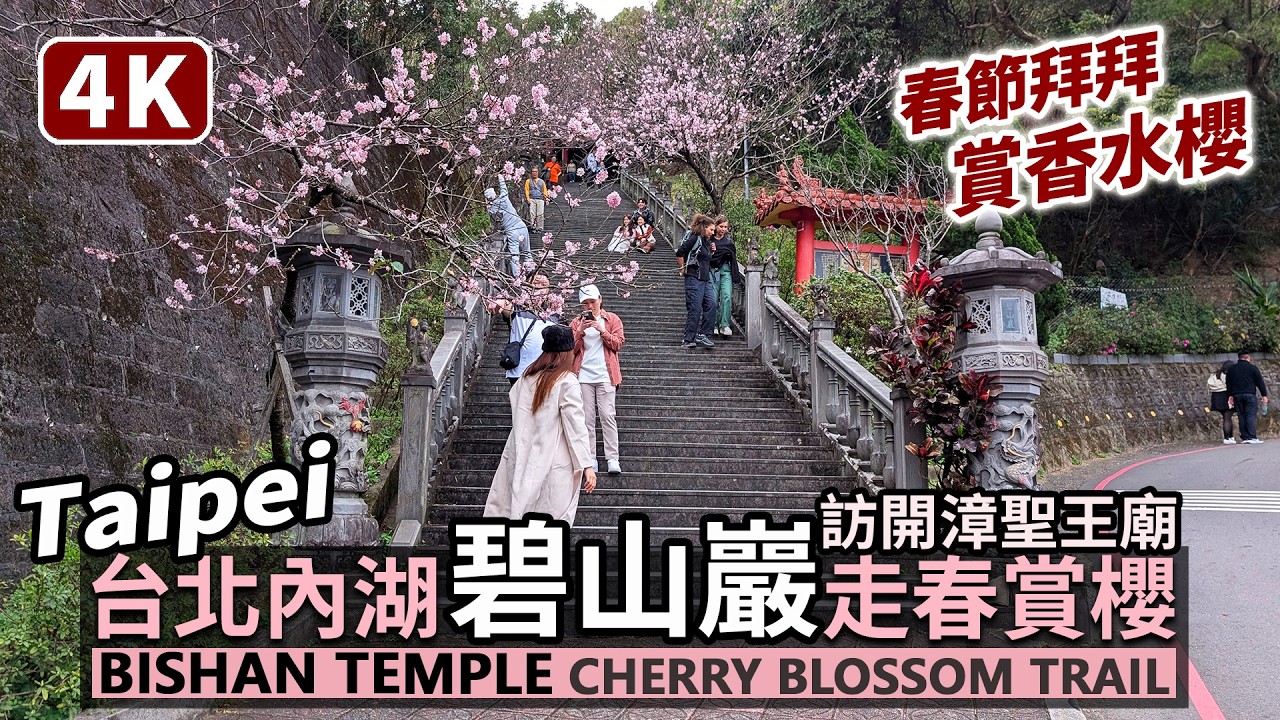 Taipei／台北內湖碧山巖走春賞櫻花 Neihu Bishan Temple and Cherry Blossom Trail 碧山巖開漳聖王廟春節拜拜、碧山巖櫻花隧道現況／台灣 Taiwan 台湾