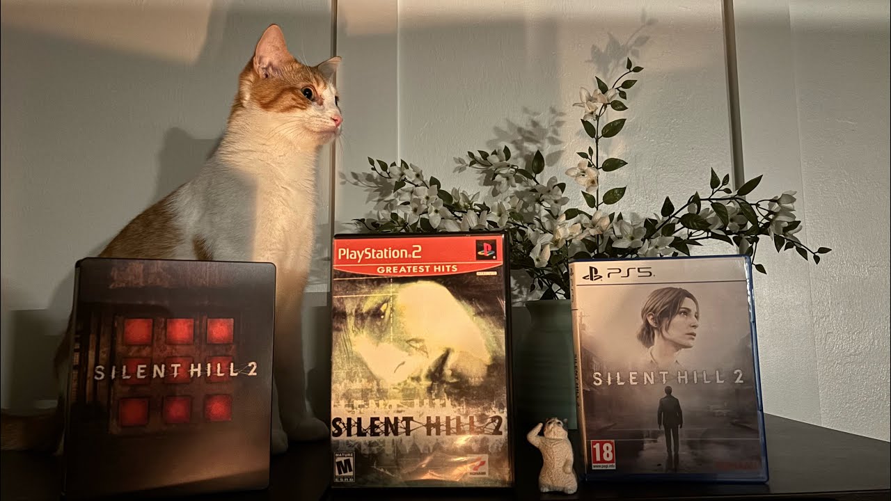 Silent Hill 2 retrospective with my cats