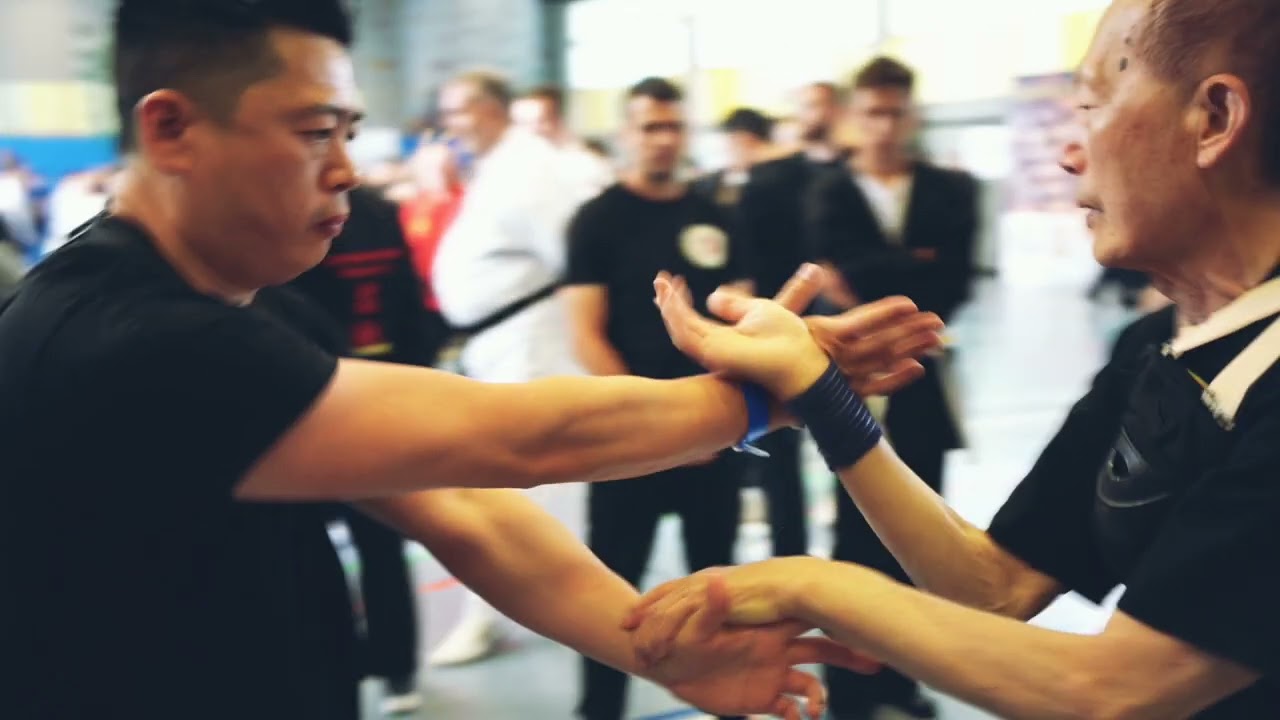 Demonstration der Nahkampftechnik aus dem Mantis Fight Concept (MFC) mit GM Dr Min Keh Jao