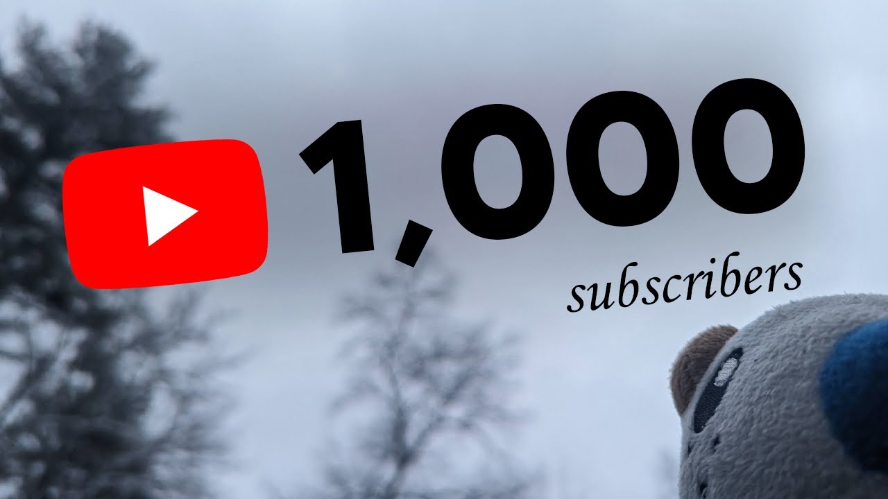 We Reached 1,000 Subscribers