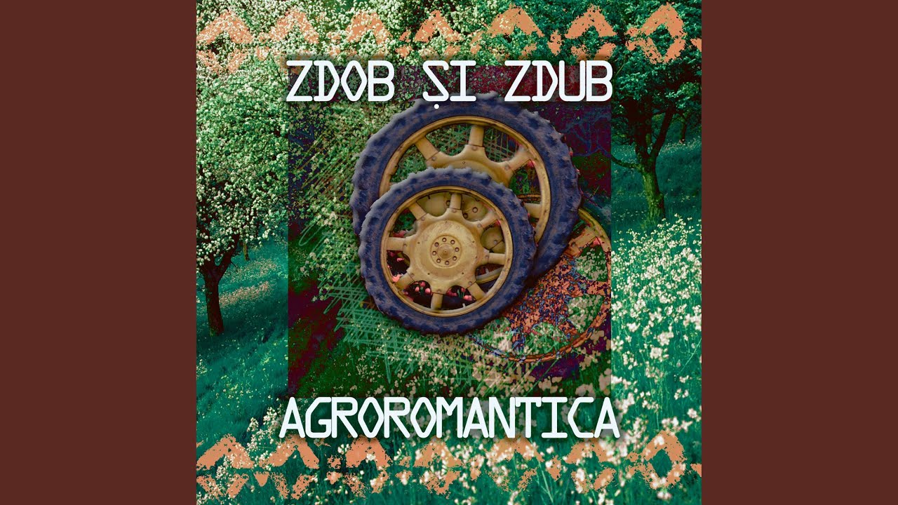 Țigan și OZN