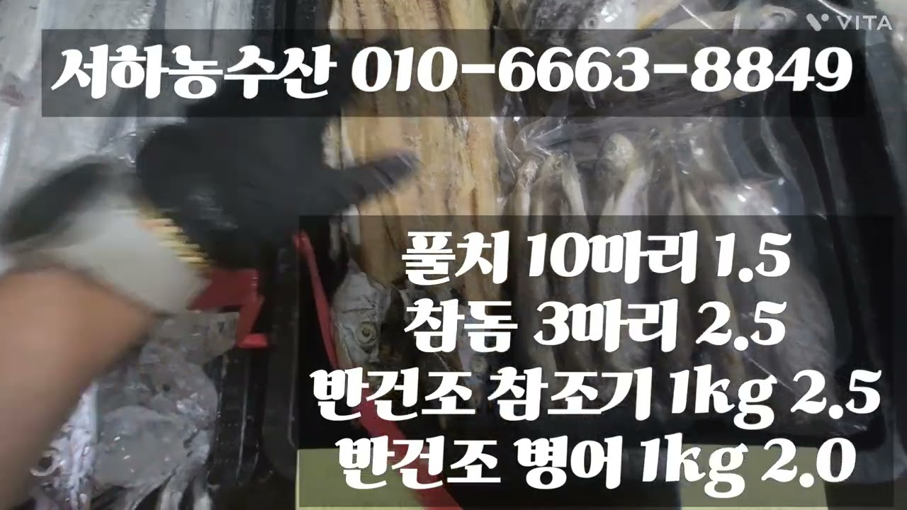 01.22  #풀치 #먹갈치 #서하#꽃게언니