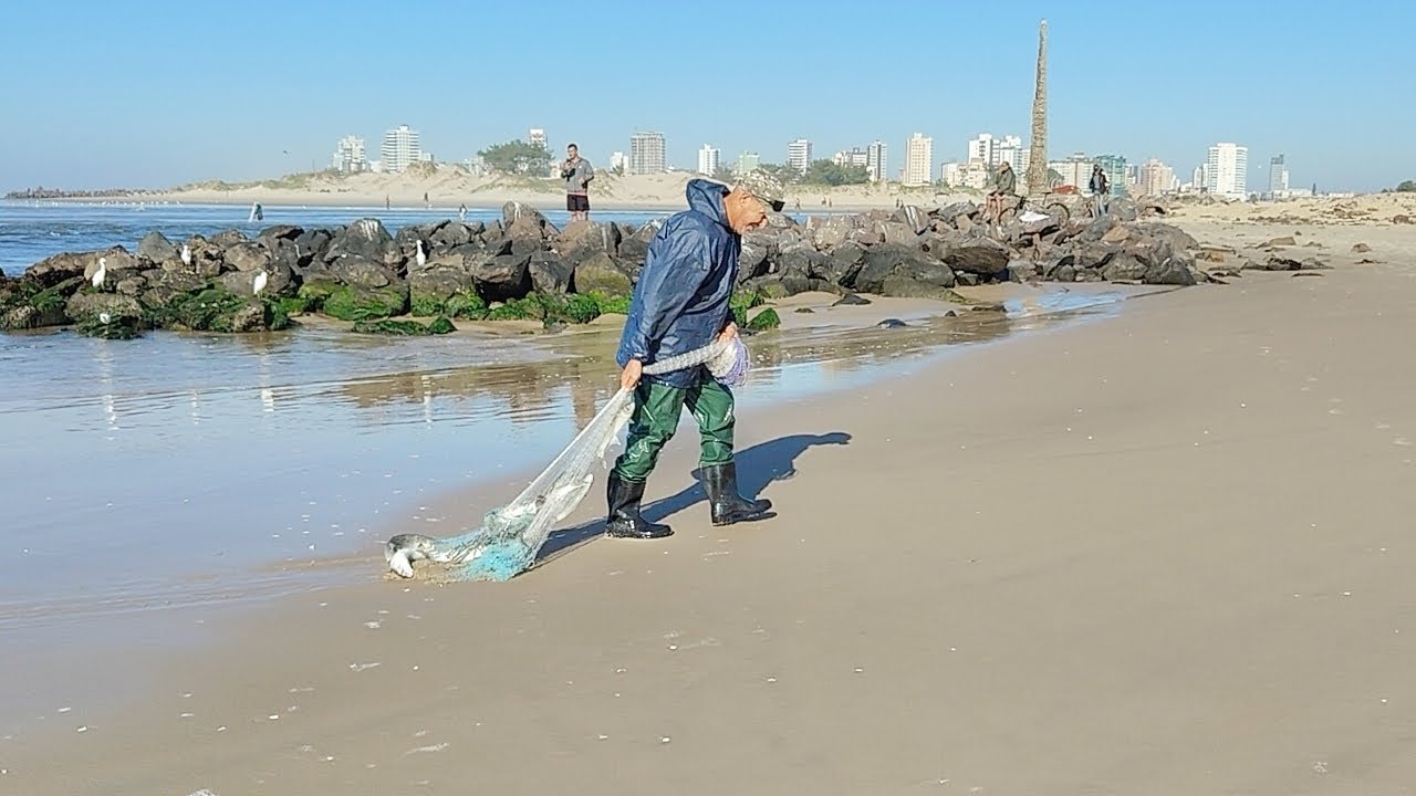 Pescas de tarrafas, 04-05-25, manhã, Bico da Pedra, Imbé. Algumas pegadas. #pescadetarrafa #tainha