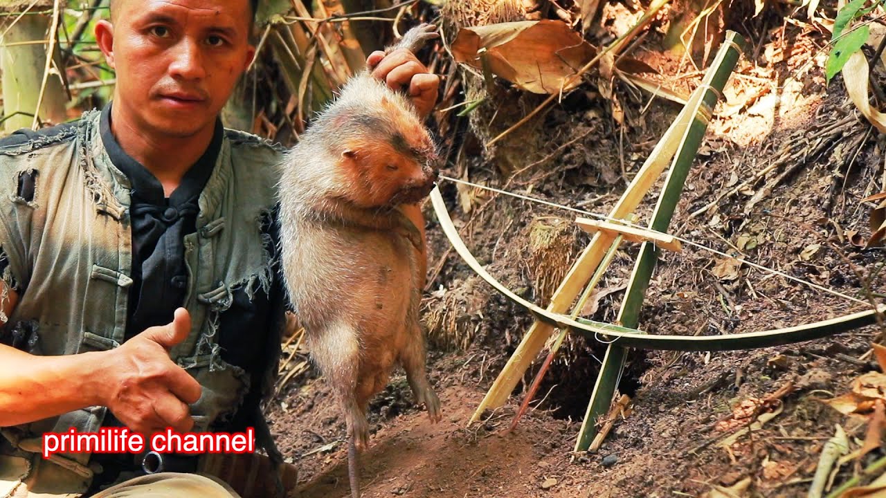 create big rat trap catch ground rat I get one easy to make วีทีหาอุ้นงา่ย cuab nas kos