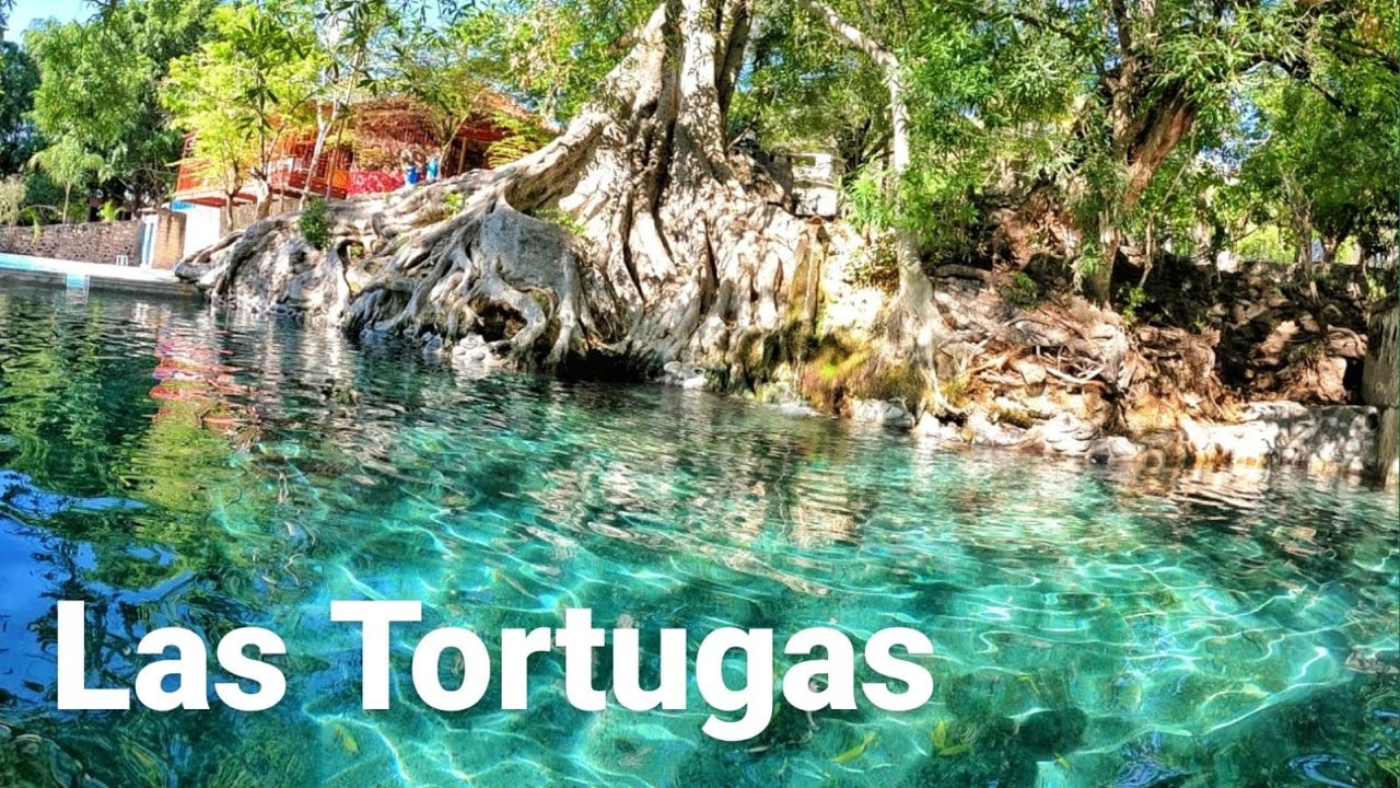 BALNEARIO las tortugas en MORELOS (conoce su borbollón de agua CRISTALINA)