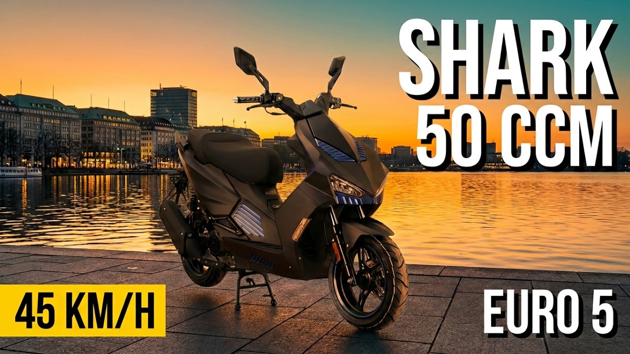 Shark 50 ccm Motorroller 45 km/h – Sportlichkeit trifft moderne Technik