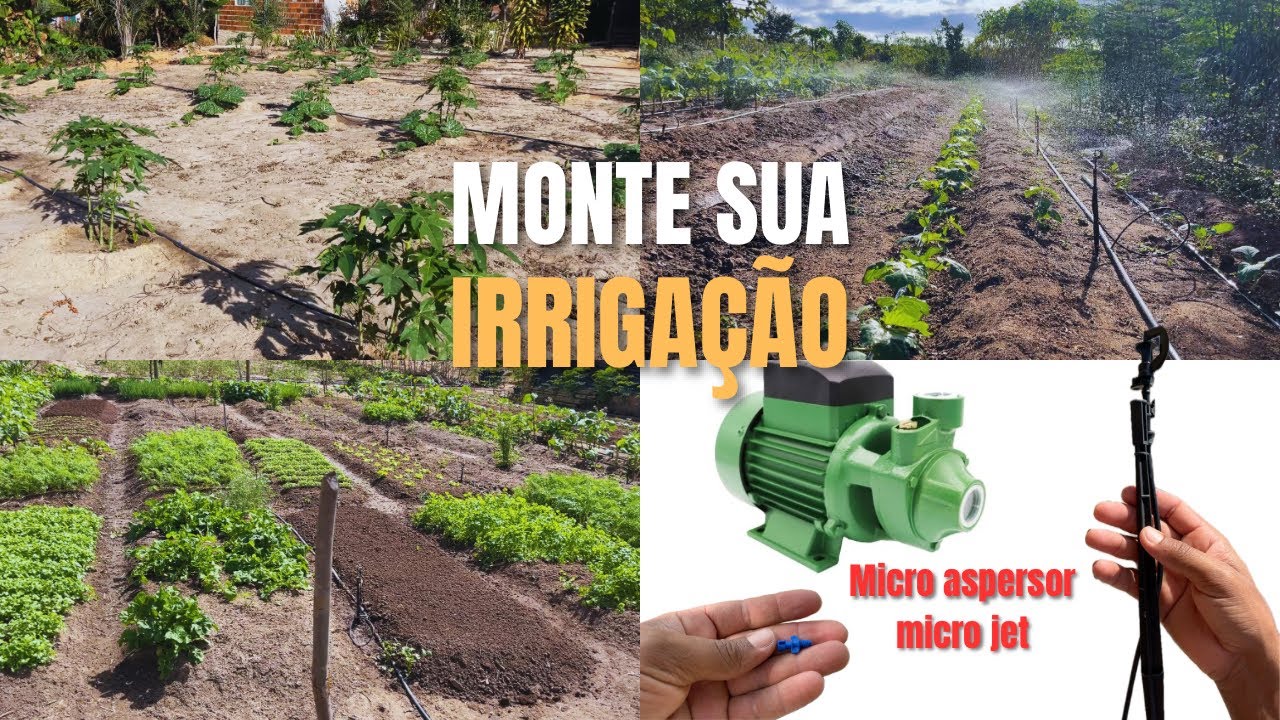 COMO montar uma IRRIGAÇÃO, MICRO ASPERSOR e MICRO JET, bomba de meio CV