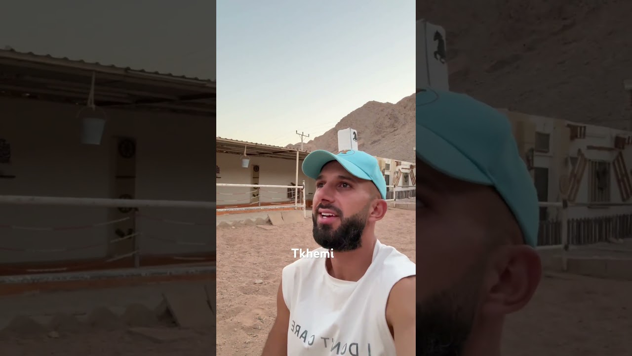 سنبل الفيراري🤣🔥