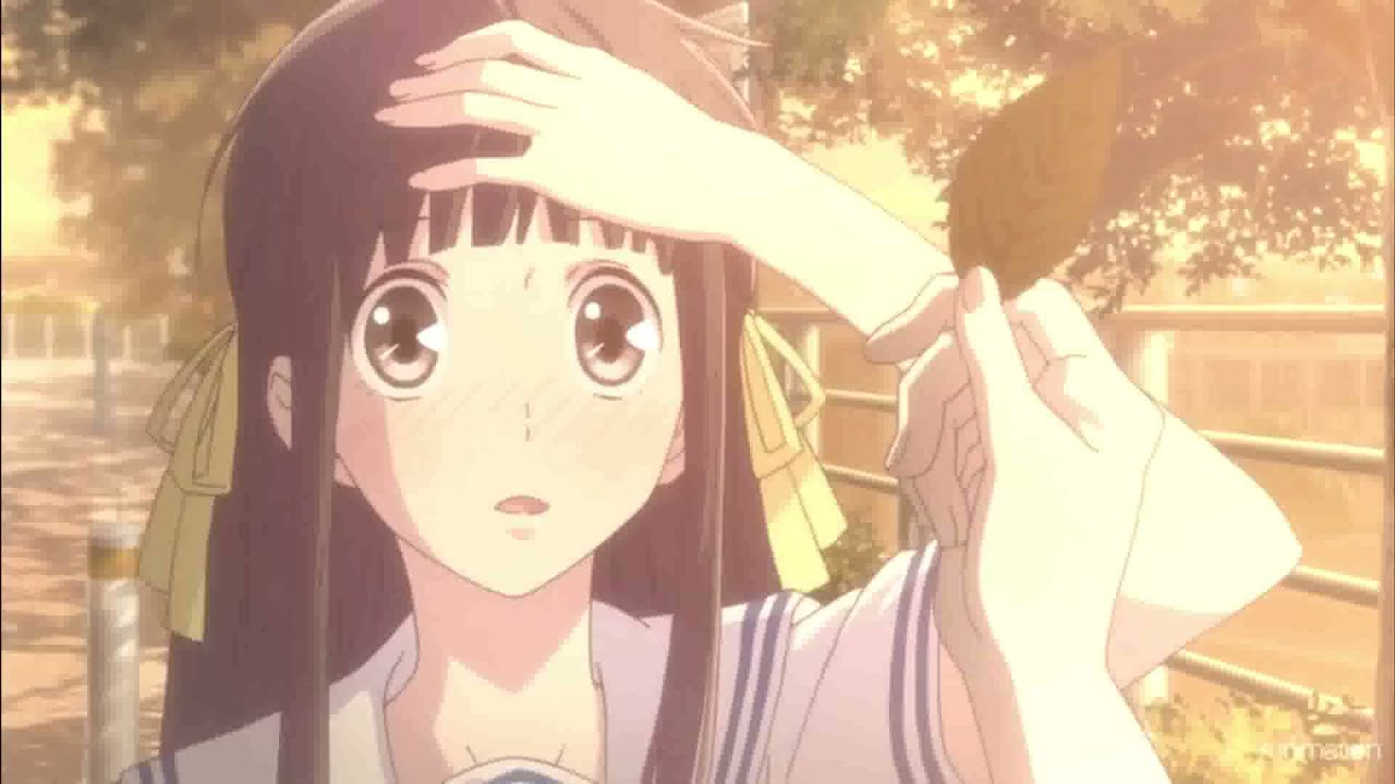 Fruits Basket Tribute AMV- Look Through My Eyes