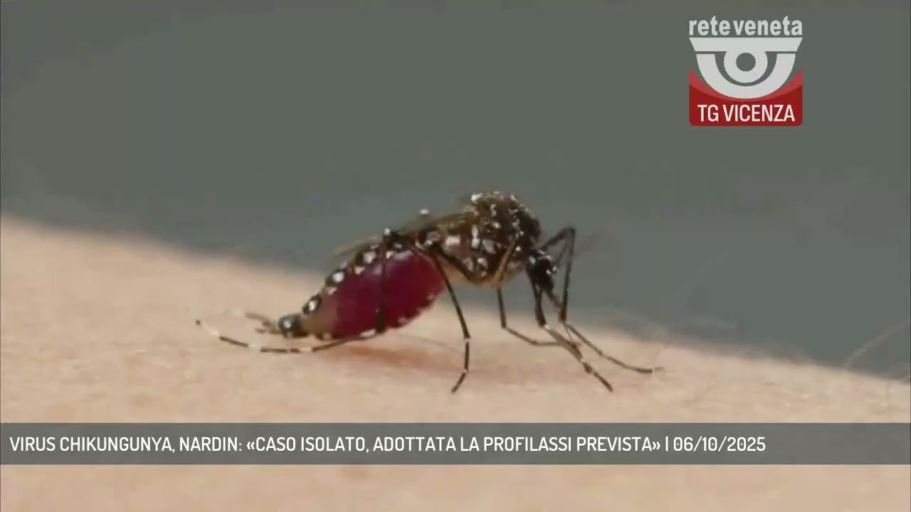 VIRUS CHIKUNGUNYA, NARDIN: &laquo;CASO ISOLATO, ADOTTATA LA PROFILASSI PREVISTA&raquo; | 06/10/2025