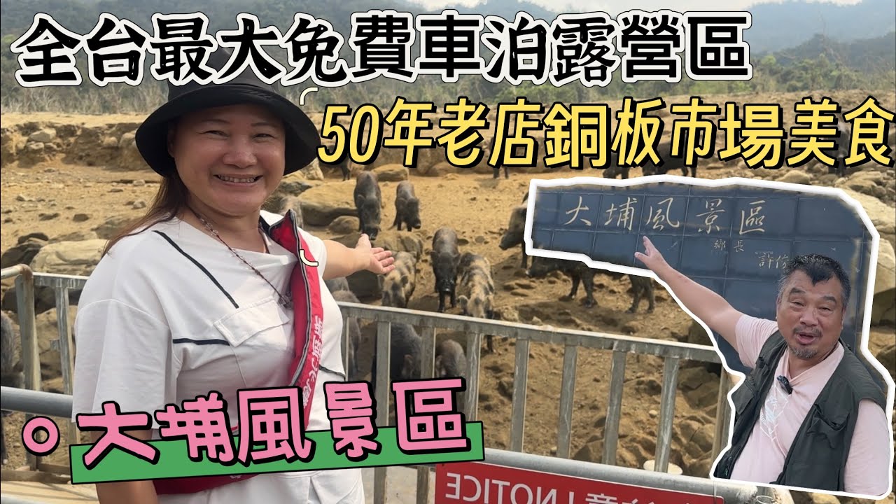 全台最大＄0元免費車泊露營區｜50年老店銅板市場美食｜大埔風景區