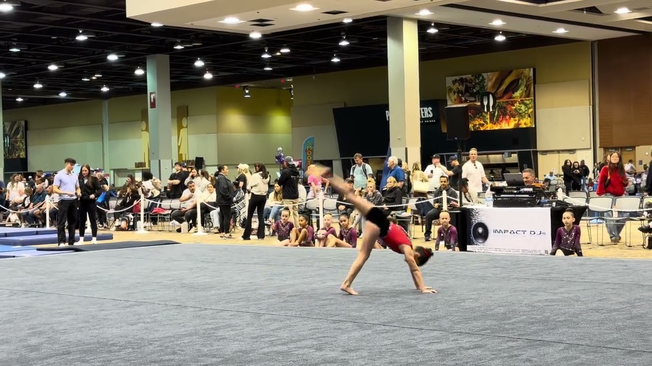 Gymnastics competiton Classic Rock themed level 3 score: 9.175 