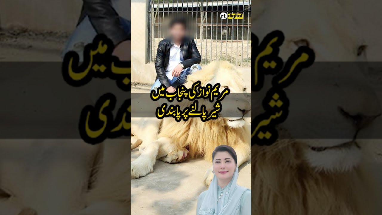 Punjab Govt Order 