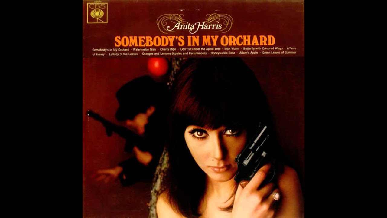 Anita Harris - Butterfly With Coloured Wings (1966)