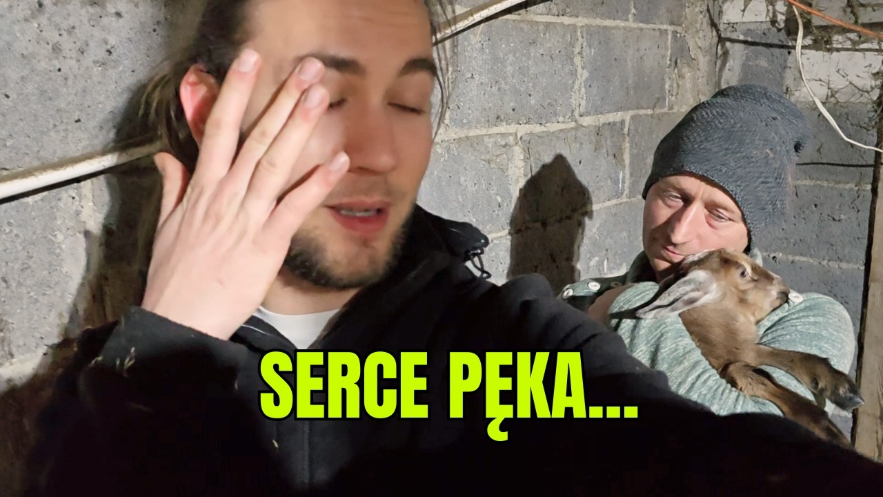 Stało się nieszczęście... Ostatni wykot i wypadek :(