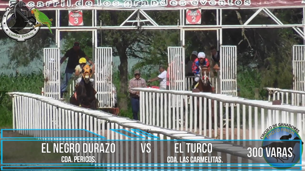 EL NEGRO DURAZO CDA. PERICOS VS EL TURCO CDA. LAS CARMELITAS. 300 VARAS.