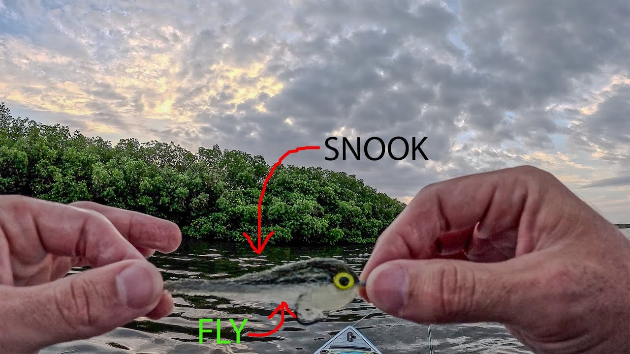 Post Storm Snook and Tarpon Bite | Fly Fishing