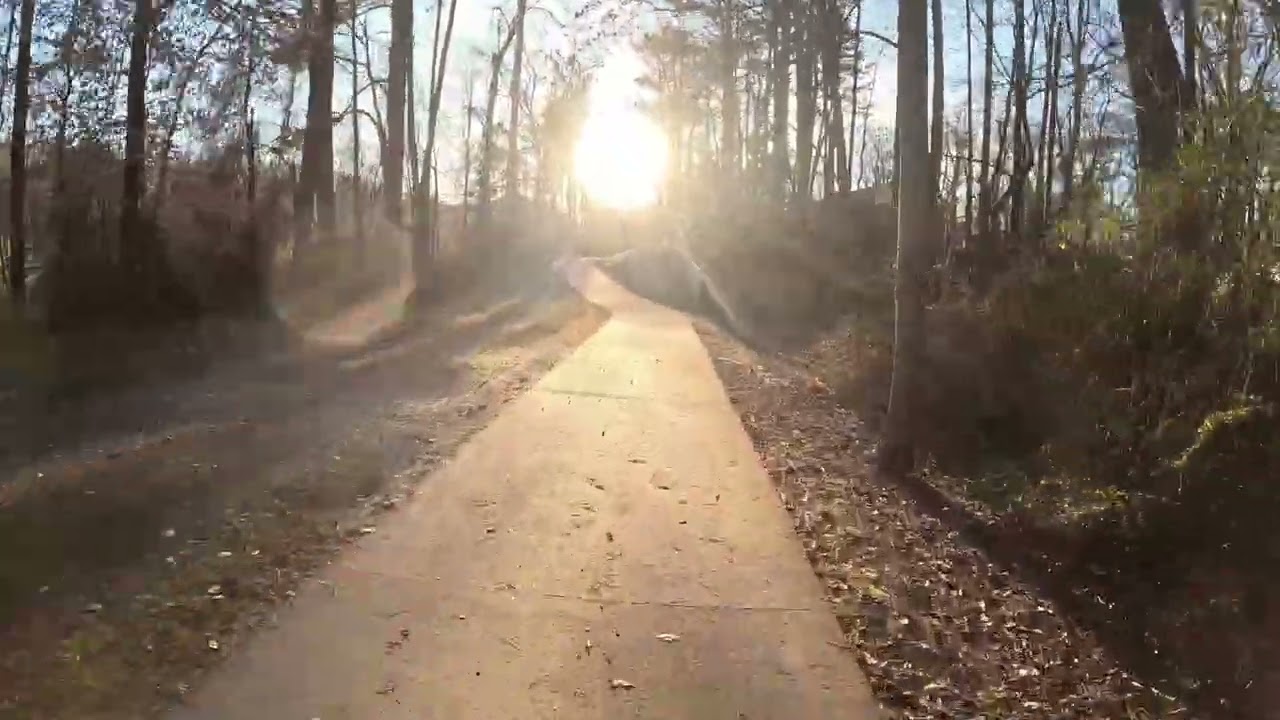 Camp Creek Greenway, January 25'