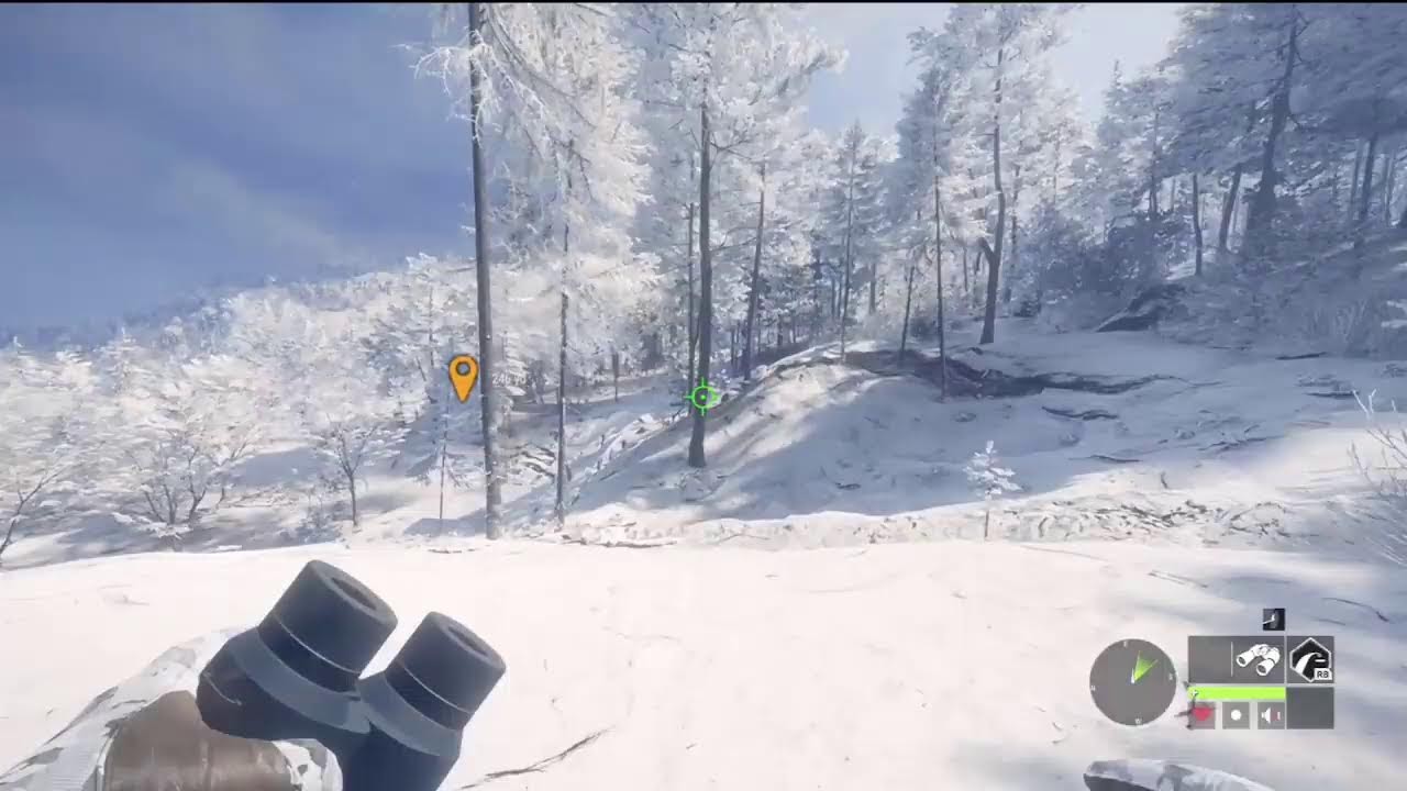 COTW