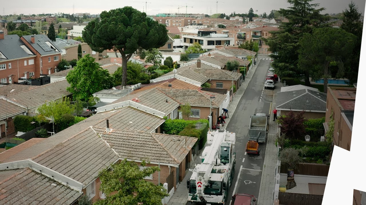 M18 FUEL™ Dual Battery Chainsaw Tackles Massive Tree Removal in Madrid