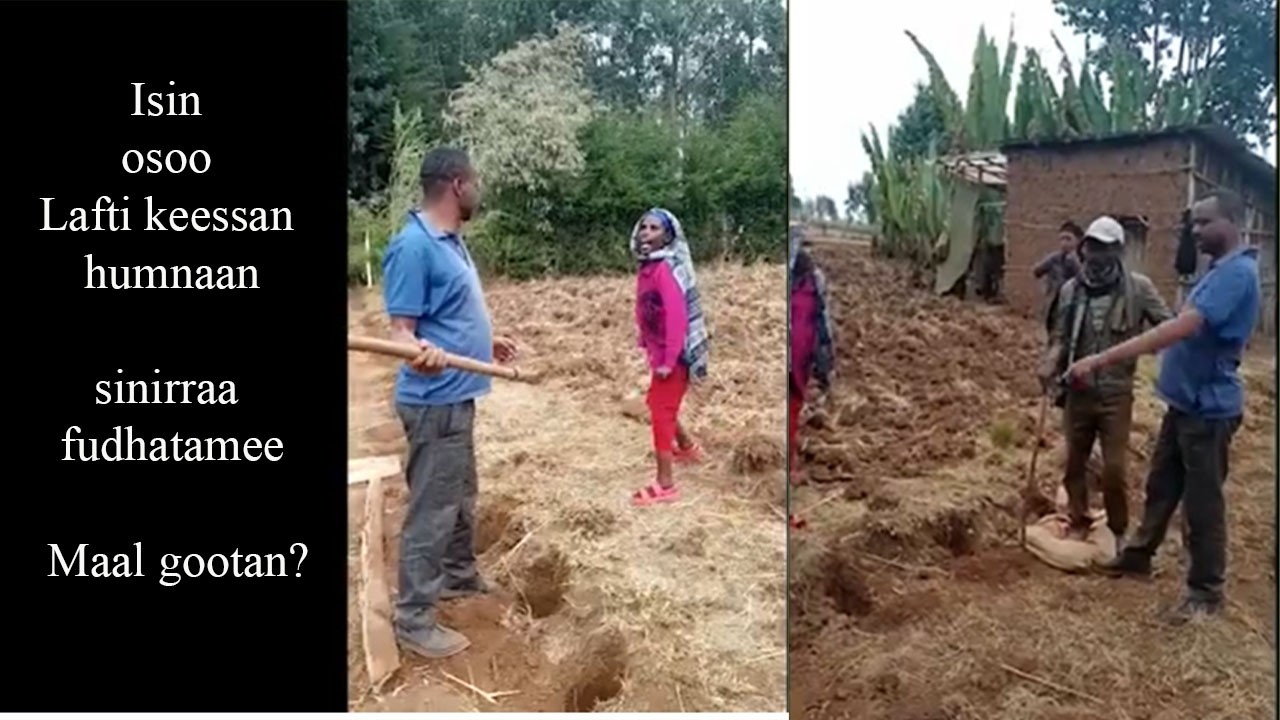 Isin osoo Lafti keessan Abbaa humnaan sinirraa fudhatamee maal gootu?