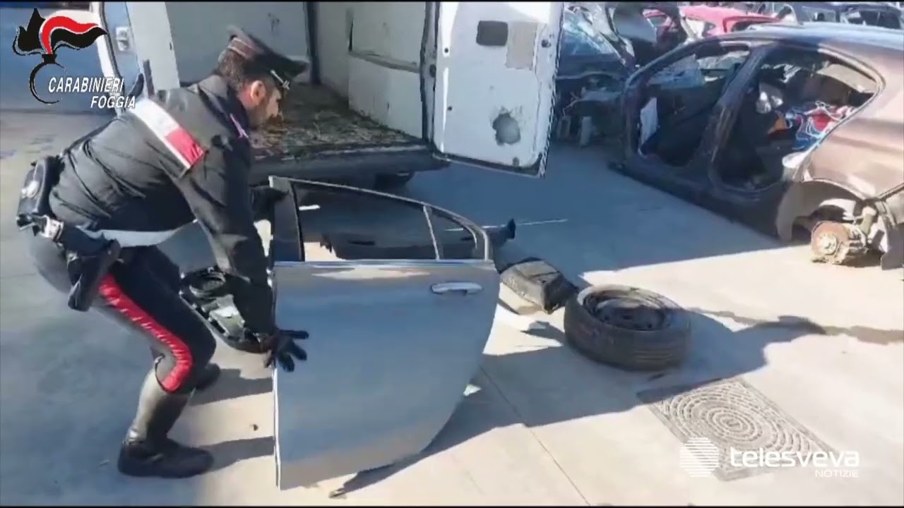 Furti di auto e di olive, controlli dei carabinieri nella provincia di Foggia: 13 arresti