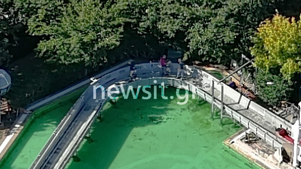 Αυτοψία του newsit.gr στο Allou! Fun Park