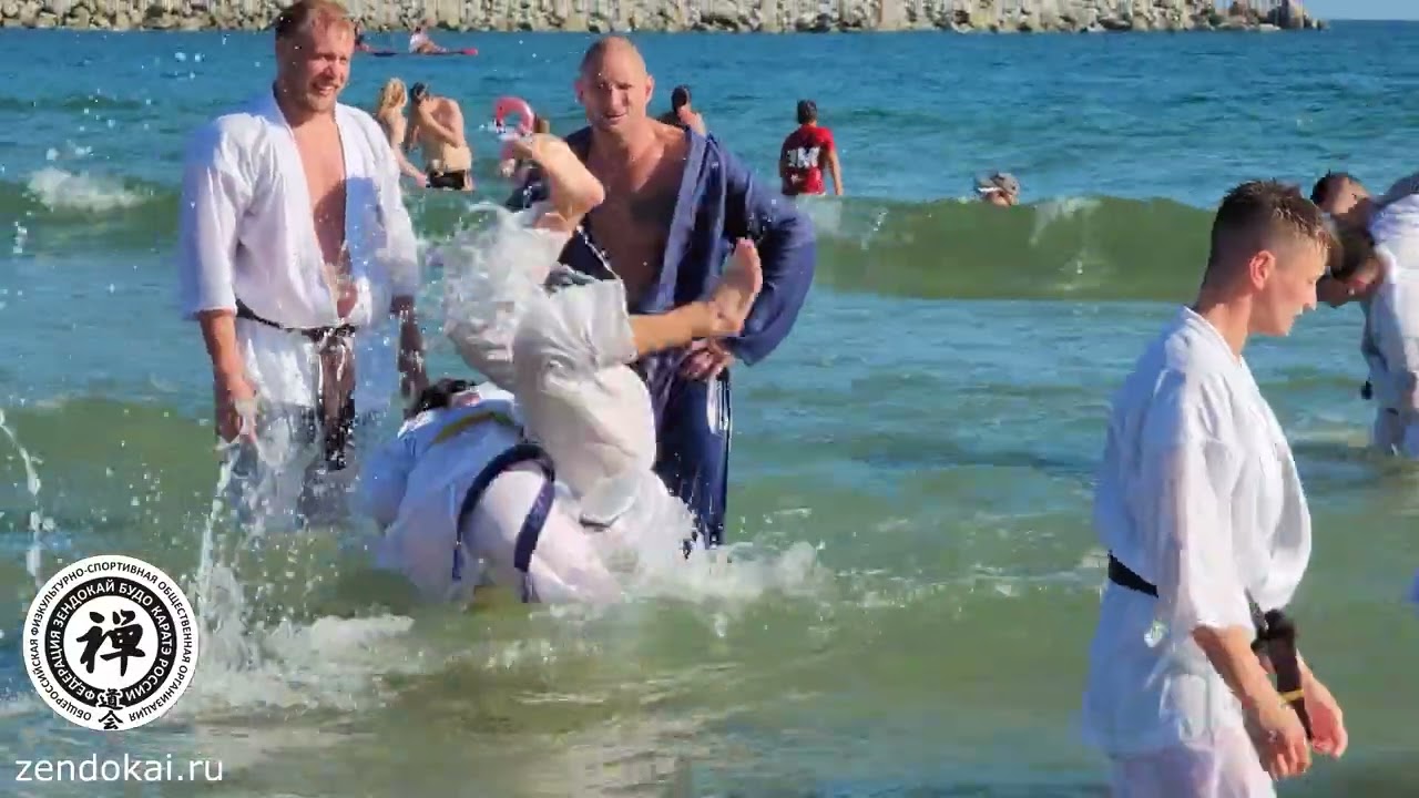 Зендокай   Путь