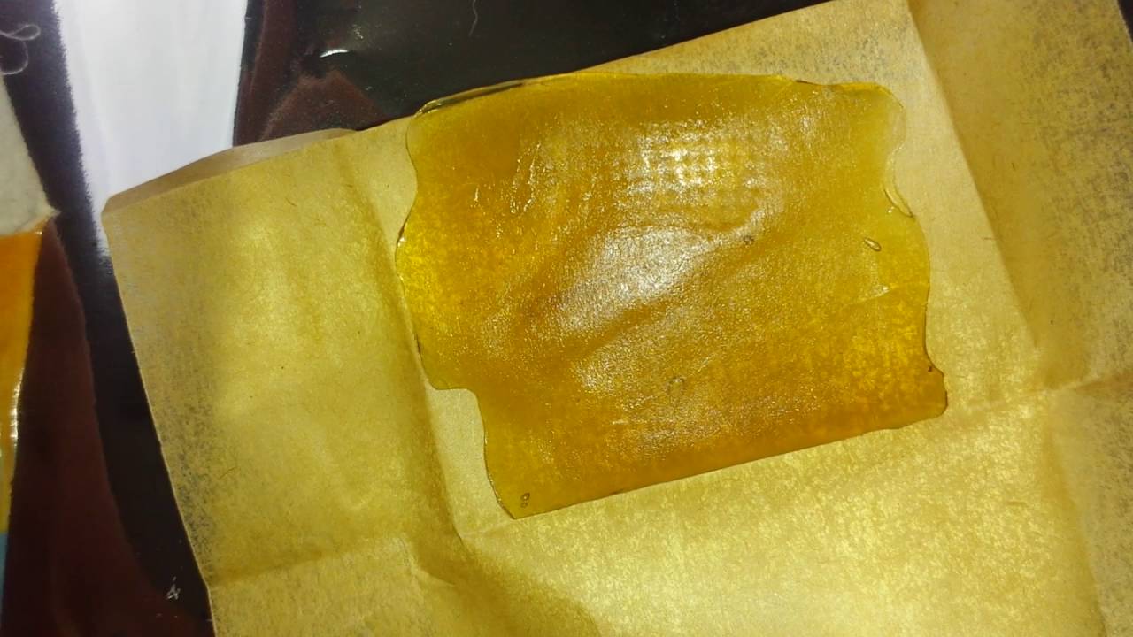 Medi Monkey extracts - Albert Walker
