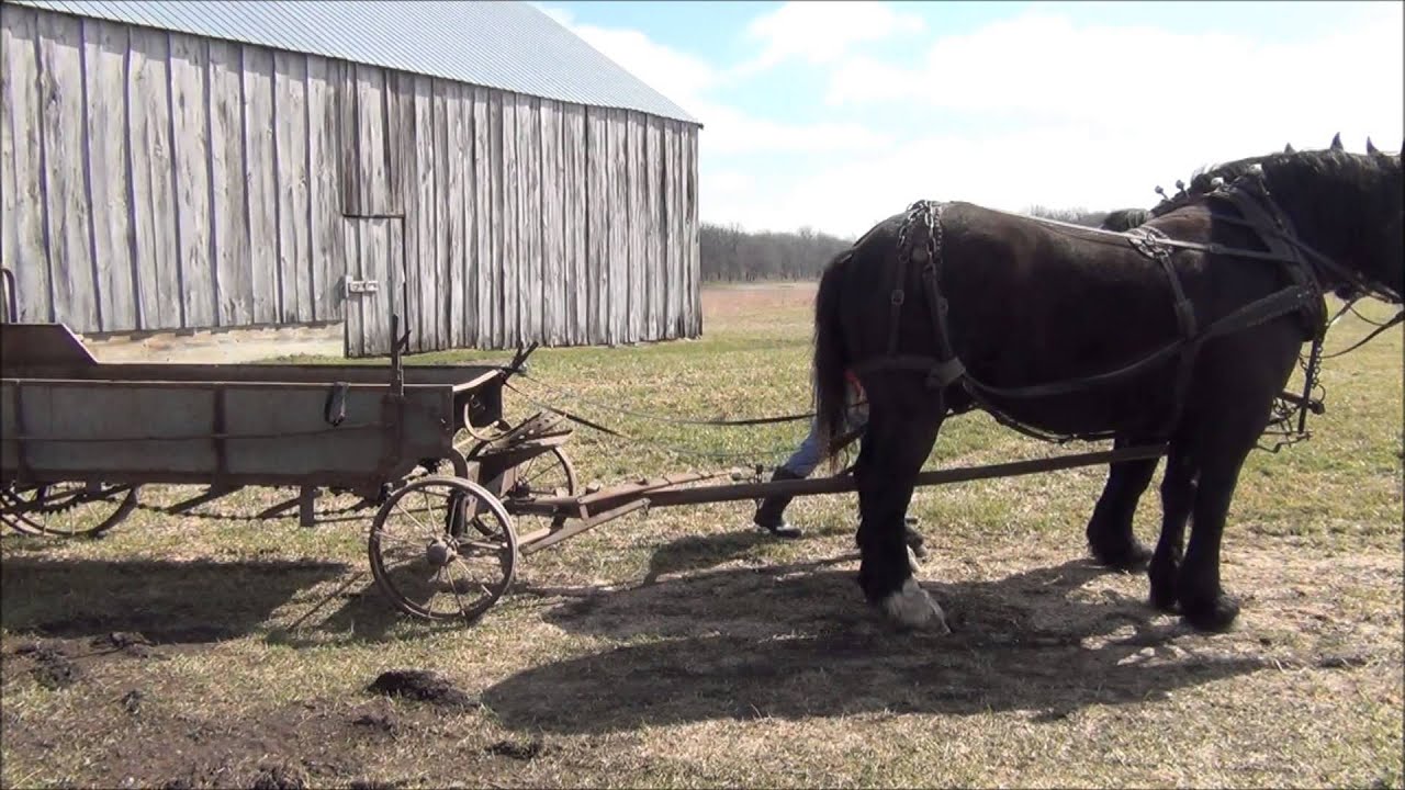 Pete & Joe Spreading Manure